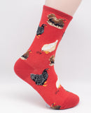 Hen House Chicken Socks