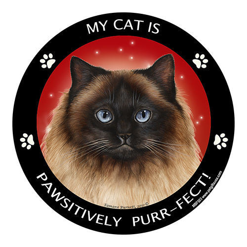 Himalayan Cat My Best Friend Dog Breed Magnet