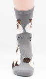 Himalayan Socks Cat Breed Foozy Novelty Socks
