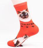 Himalayan Socks Cat Breed Foozy Novelty Socks
