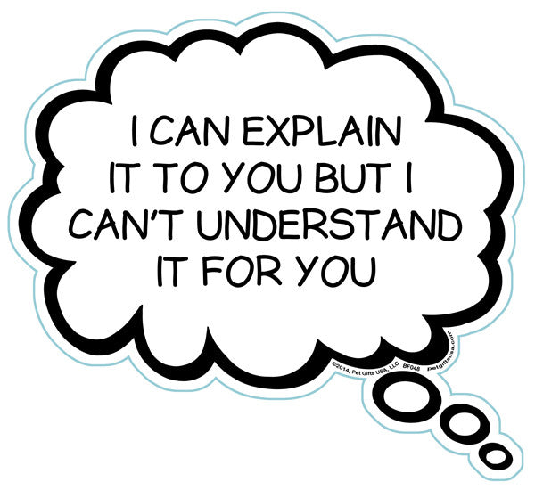 I Can Explain It To You But I Can't Understand It For You Brain Fart Car Magnet