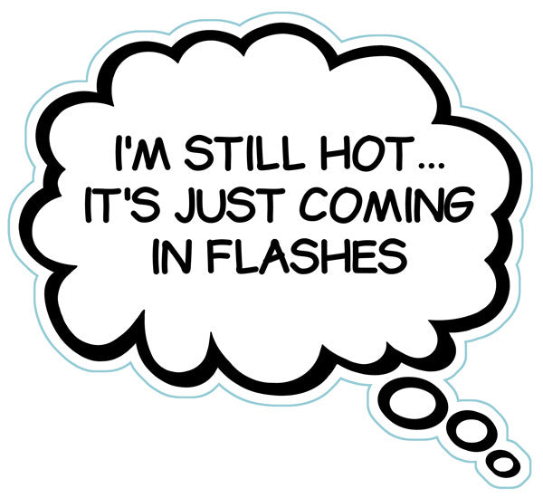 I'm Still Hot...It's Just Coming In Flashes Brain Fart Car Magnet