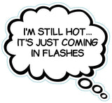 I'm Still Hot...It's Just Coming In Flashes Brain Fart Car Magnet