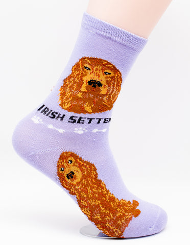 Irish Setter Dog Breed Foozy Novelty Socks