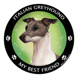 Italian Greyhound Blue My Best Friend Dog Breed Magnet
