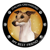 Italian Greyhound Fawn My Best Friend Dog Breed Magnet