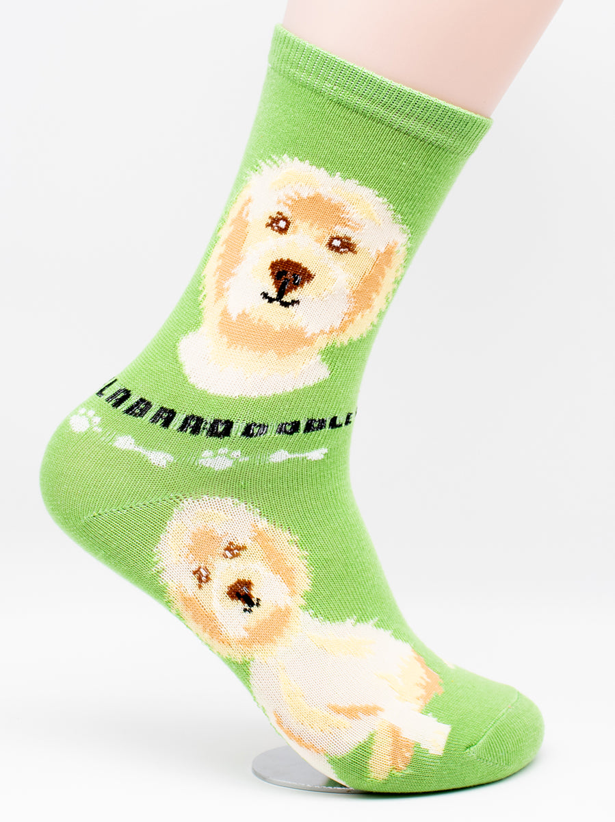 Labradoodle Dog Breed Foozy Novelty Socks