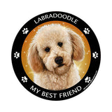 Labradoodle Yellow My Best Friend Dog Breed Magnet
