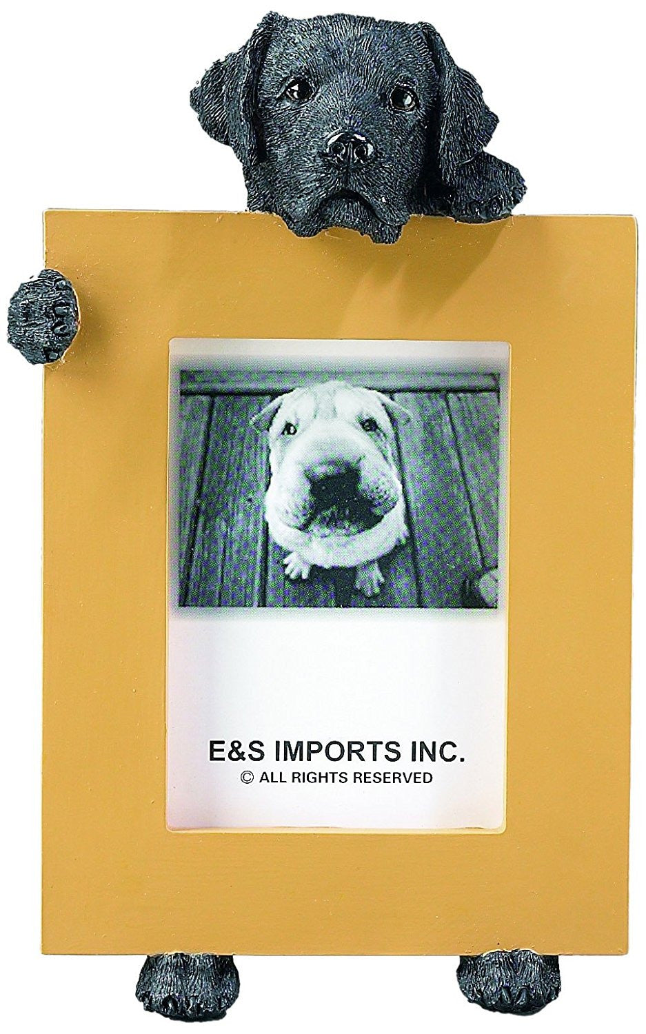 Labrador Photo Frame Labrador Black Dog Holding Picture Frame | Doggy Style Gifts