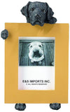 Labrador Black Dog Holding Picture Frame