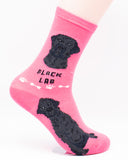 Labrador Retriever Dog Breed Foozy Novelty Socks