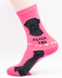 Labrador Retriever Dog Breed Foozy Novelty Socks