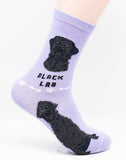 Labrador Retriever Dog Breed Foozy Novelty Socks