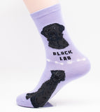 Labrador Retriever Dog Breed Foozy Novelty Socks