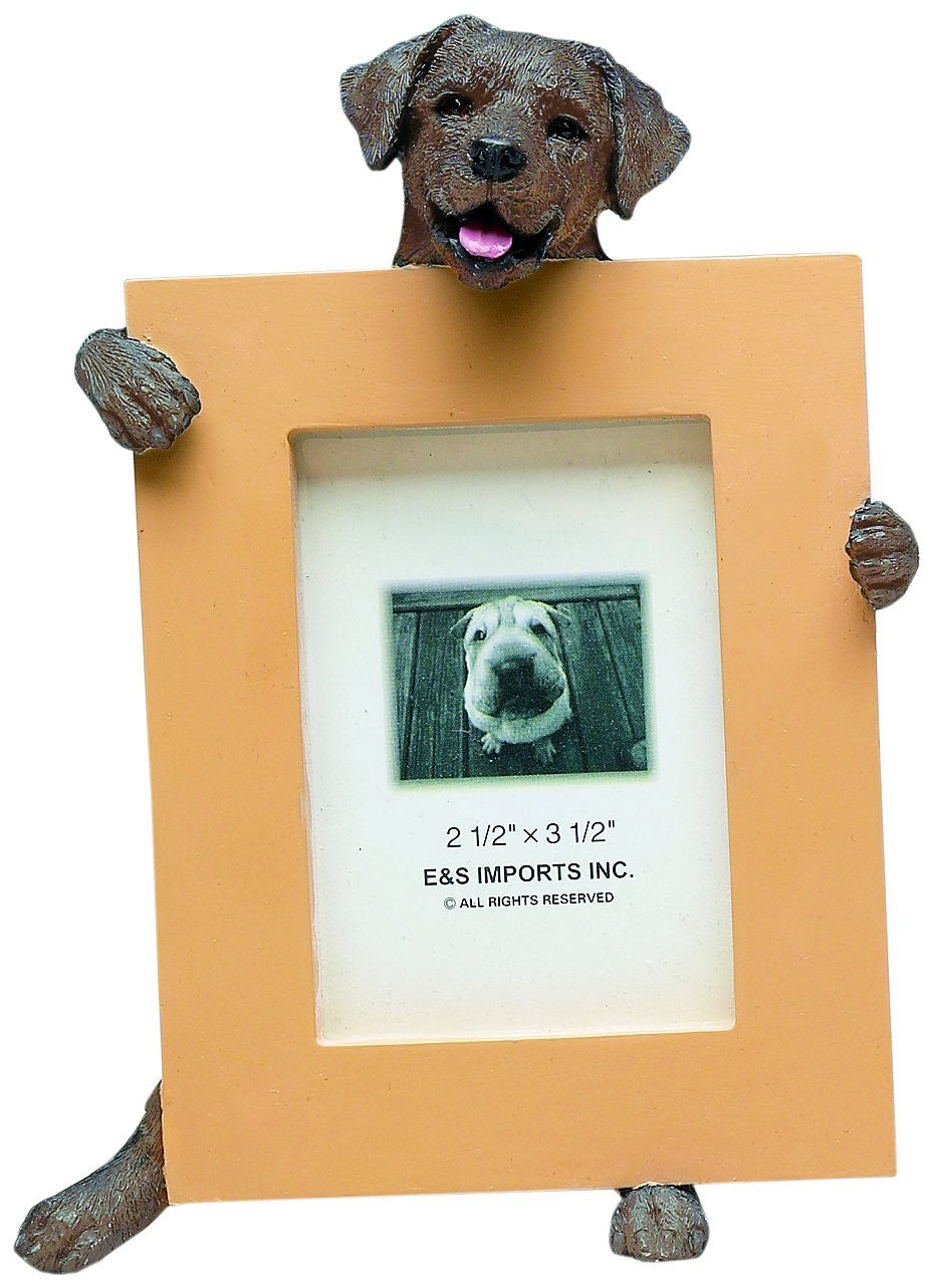 Labrador Photo Frame Labrador Chocolate Dog Holding Picture Frame | Doggy Style Gifts