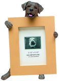 Labrador Chocolate Dog Holding Picture Frame