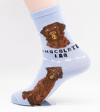 Labrador Retriever Dog Breed Foozy Novelty Socks