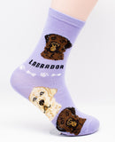 Labrador Retriever Dog Breed Foozy Novelty Socks