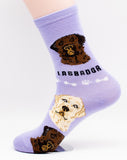 Labrador Retriever Dog Breed Foozy Novelty Socks