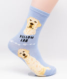 Labrador Retriever Dog Breed Foozy Novelty Socks