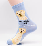 Labrador Retriever Dog Breed Foozy Novelty Socks