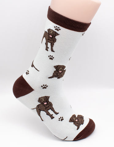 Labrador Chocolate Dog Breed Novelty Socks