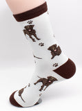 Labrador Chocolate Dog Breed Novelty Socks