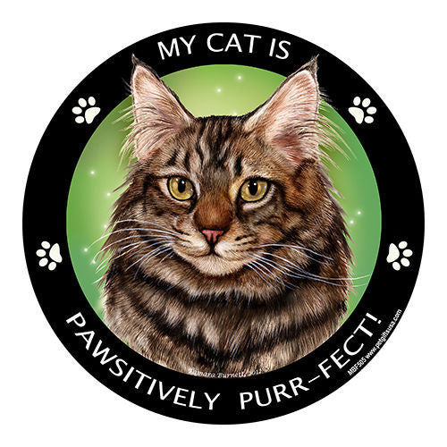 Maine Coon Brown Tabby Cat My Best Friend Dog Breed Magnet