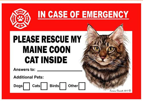 Maine Coon Brown Cat Emergency Window Cling