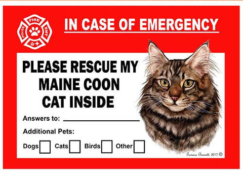 Maine Coon Brown Cat Emergency Window Cling