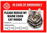 Maine Coon Silver Cat Emergency Window Cling