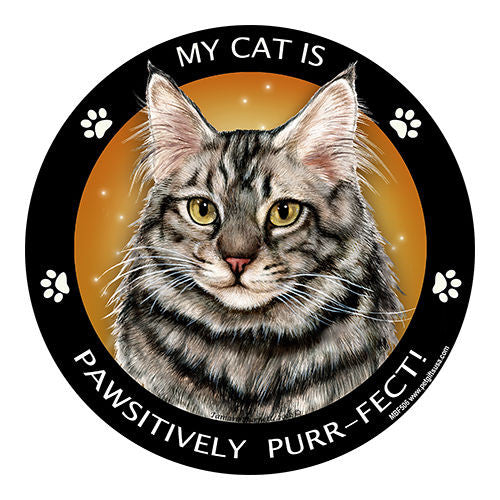 Maine Coon Brown Silver Tabby Cat My Best Friend Dog Breed Magnet