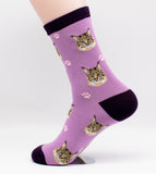 Maine Coon Cat Breed Novelty Socks
