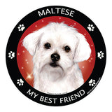 Maltese My Best Friend Dog Breed Magnet
