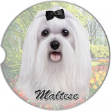 Maltese Sandstone Absorbent Dog Breed Car Coaster