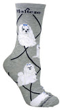 Maltese Dog Breed Novelty Socks Gray