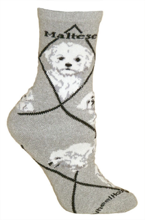 Maltese Puppy Cut Dog Breed Novelty Socks Gray