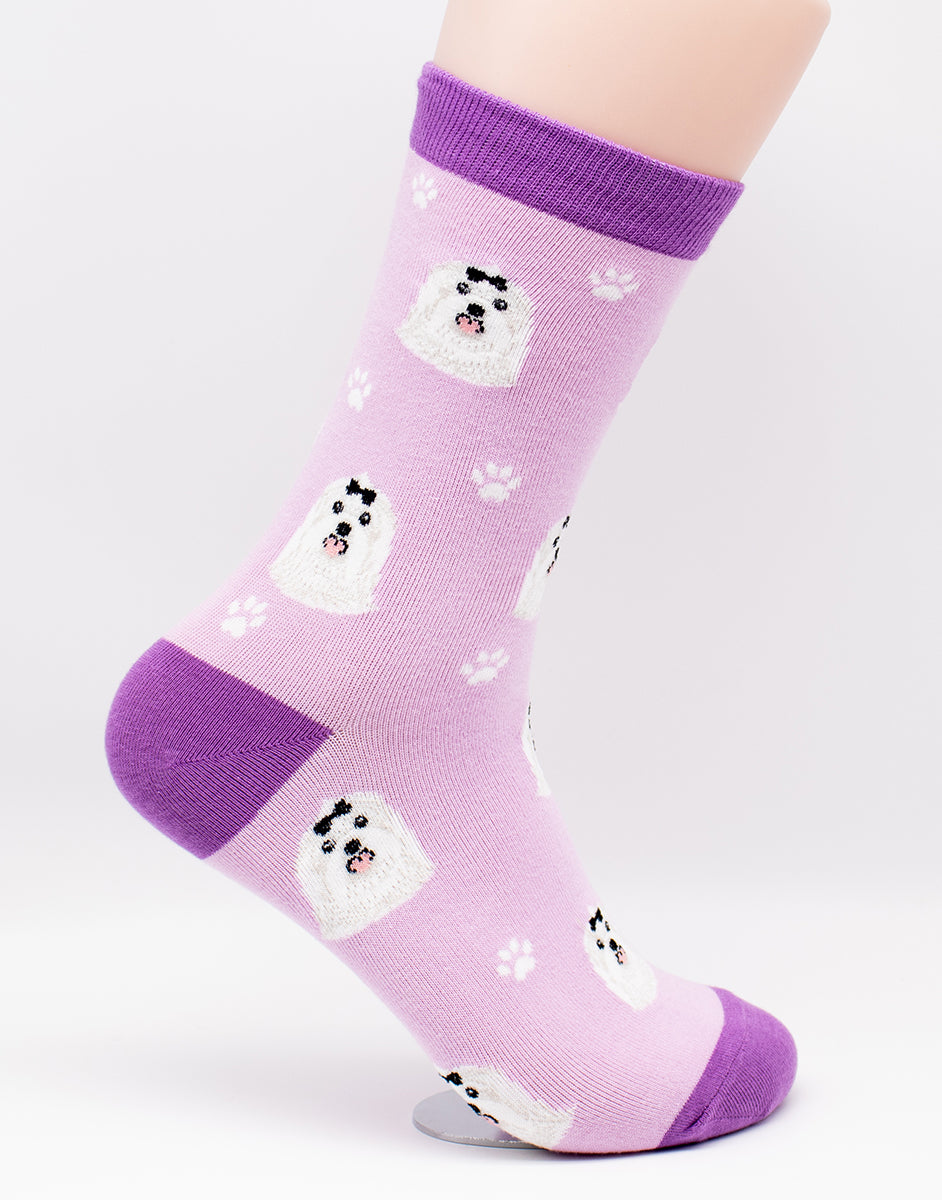 Maltese Dog Breed Novelty Socks