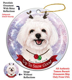Maltipoo Howliday Dog Christmas Ornament