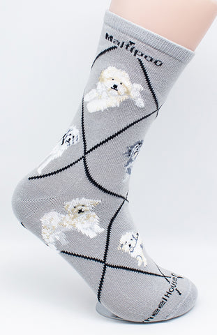 Maltipoo Dog Breed Novelty Socks Gray