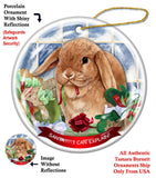 Mini Lop Rabbit Howliday Dog Christmas Ornament