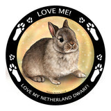 Netherland Dwarf Rabbit My Best Friend Dog Breed Magnet