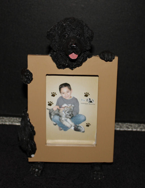 Newfoundland Dog Picture Frame Holder