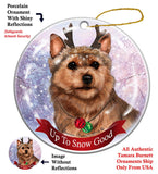 Norwich Terrier Howliday Dog Christmas Magnet