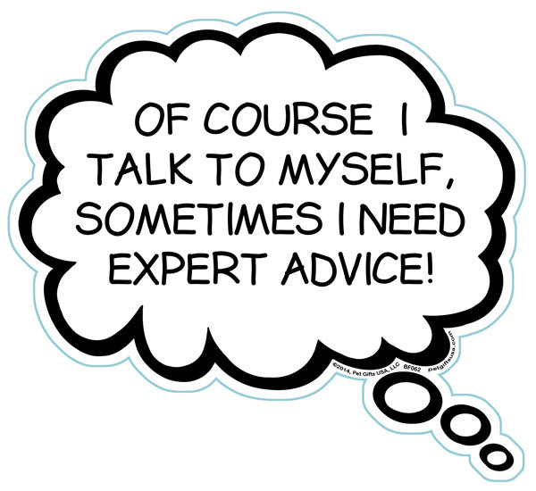 Of Course I Talk To Myself, Sometimes I Need Expert Advice Brain Fart Car Magnet