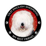 Old English Sheepdog My Best Friend Dog Breed Magnet