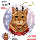 Tabby Orange Cat Howliday Cat Christmas Ornament