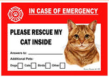 Orange Tabby Cat Emergency Window Cling