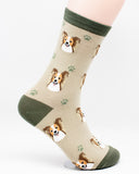 Papillon Dog Breed Novelty Socks