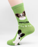 Papillon Socks Dog Breed Foozy Novelty Socks